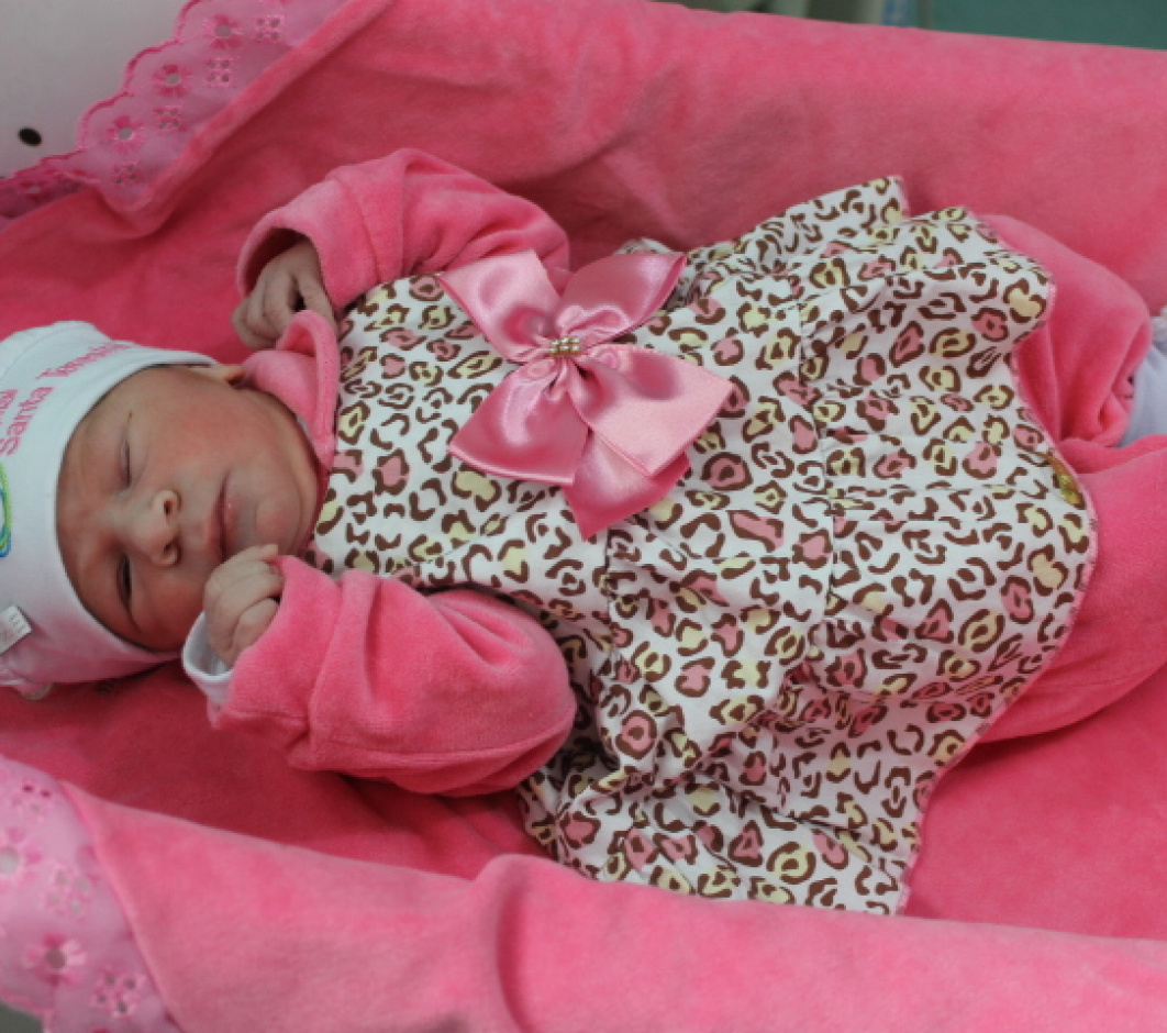 Manuela Goltz Rodrigues