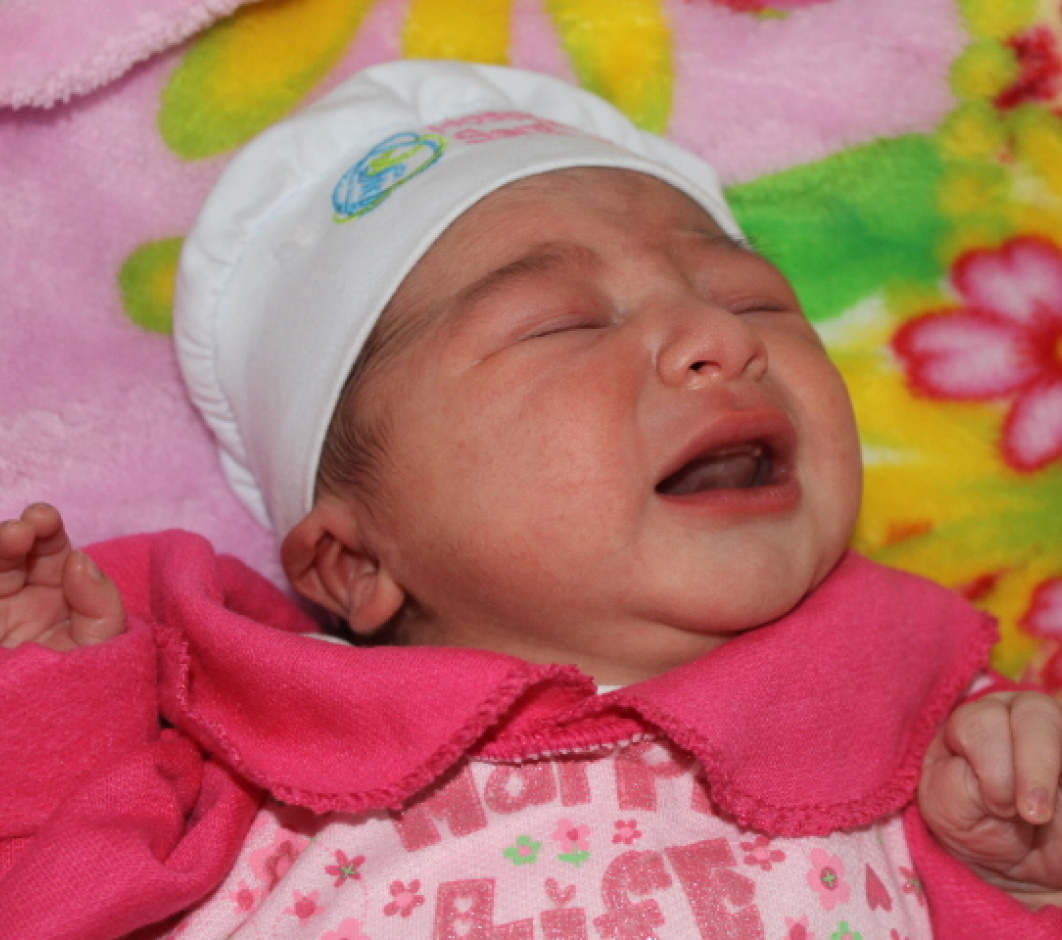 Sofia Jung Rodrigues 