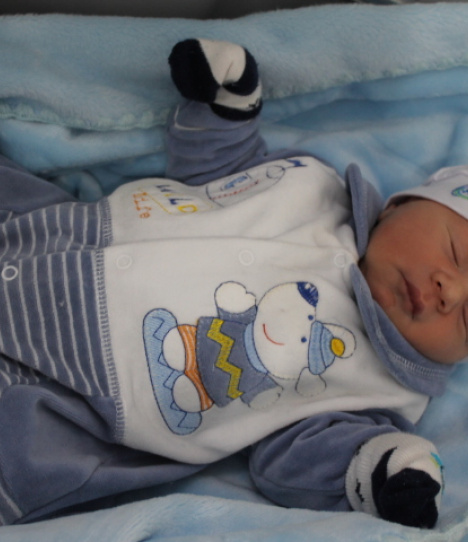 ENZO HASKEL LEHMKUHL ALBERTON