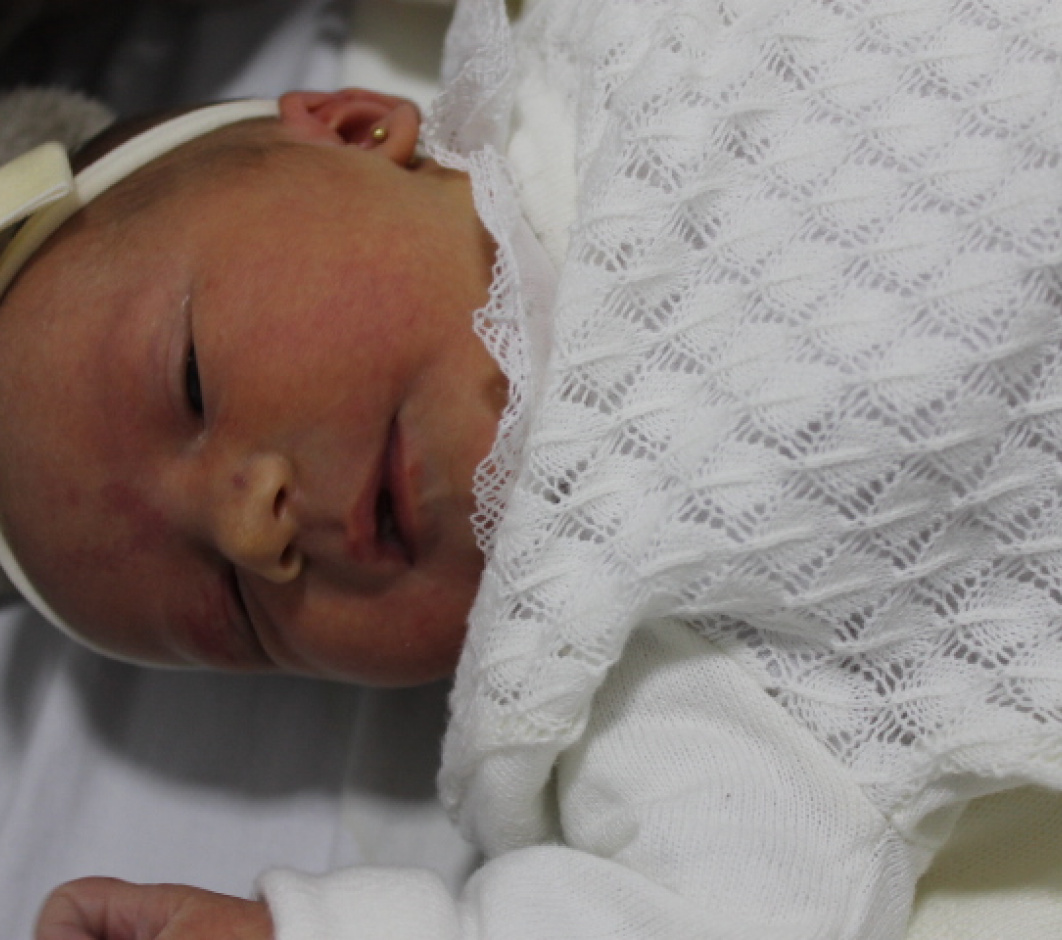 HELENA DAUFENBACK VIEIRA