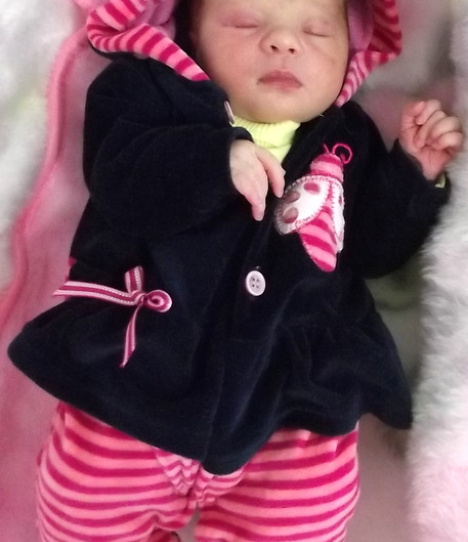 Heloisa Bloemer Meurer