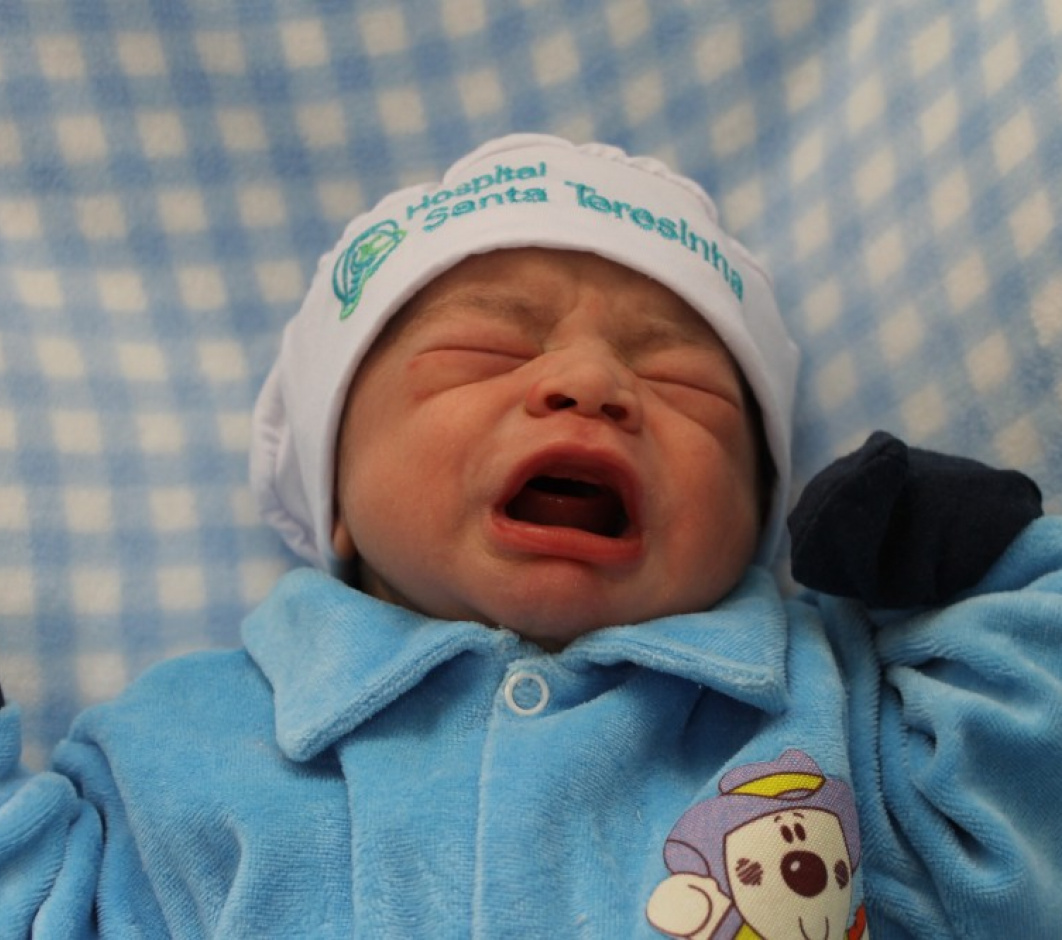 VINICIUS CARVALHO VINCENTE