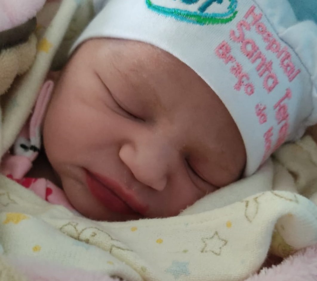 Violeta Grassi Manoel