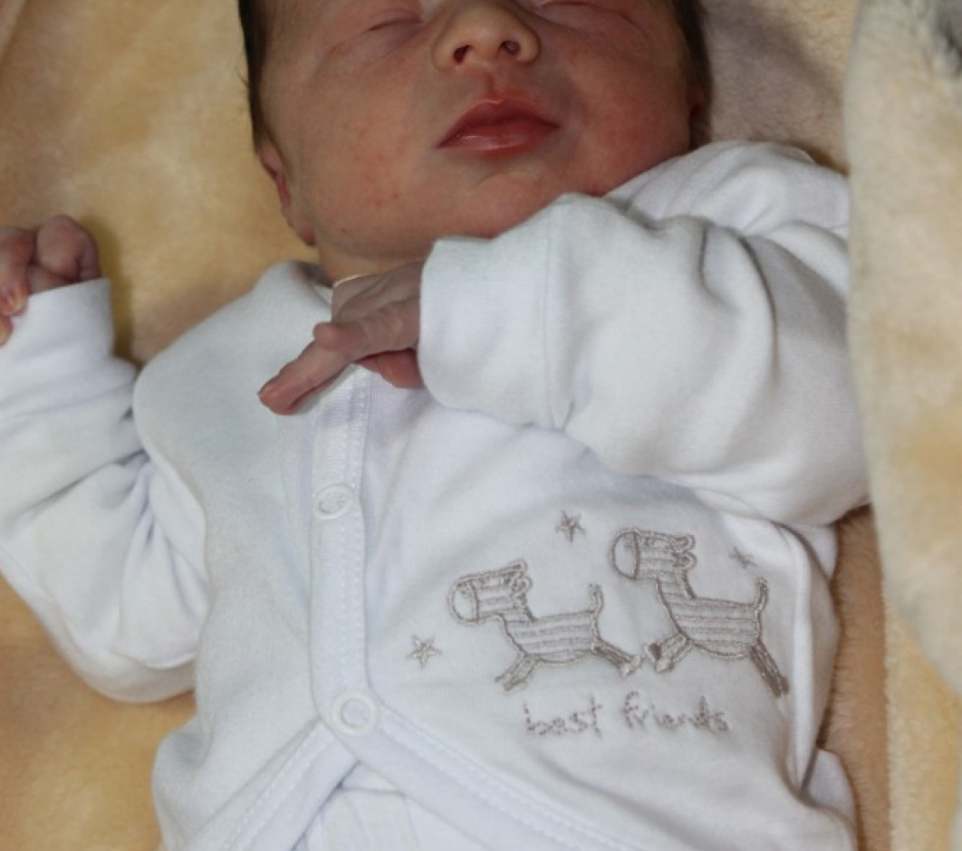 Pedro Cardozo de Bona