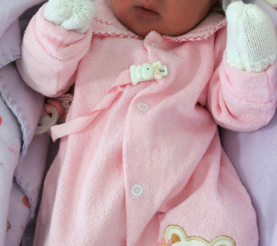 Isadora de Oliveira Vieira 