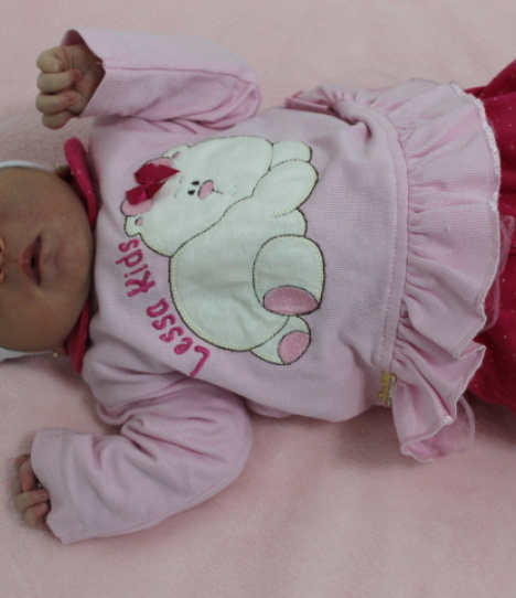 Ana Vitoria Lunardi de Souza